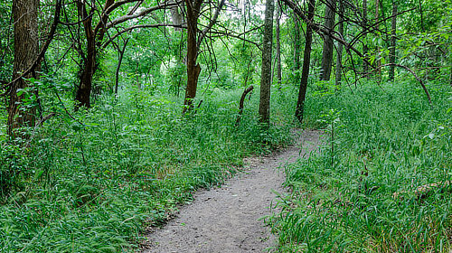 Rowlett Creek Preserve